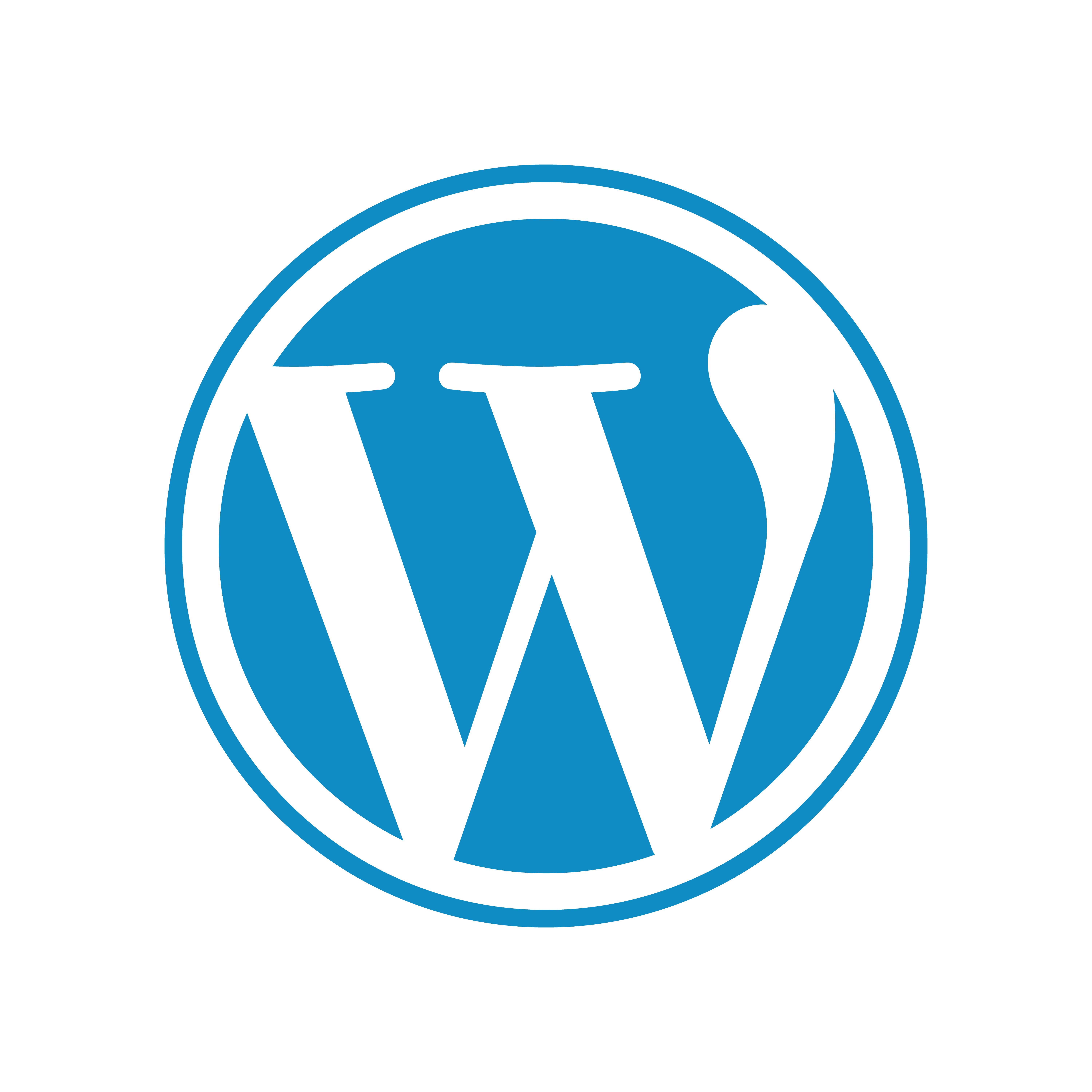 vecteezy_wordpress-logo-png-wordpress-icon-transparent-png_20975579_93